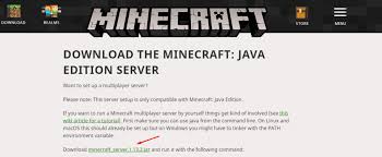 Check the 'allow executing file as program' . How To Setup Minecraft Gaming Server