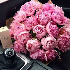 3,what shall i do, this hat is too expensive and. Russia Instagram Beautiful Flowers Peonies Planting Flowers