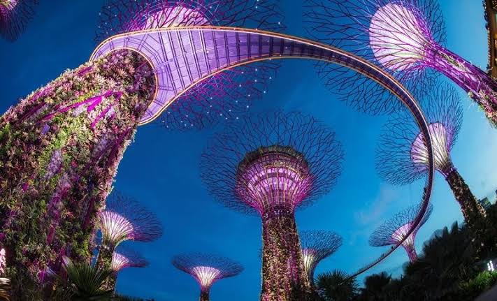 「シンガポール」の画像検索結果