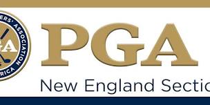 IGOE Wellesley Pro-Member