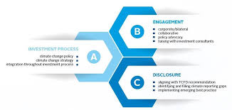 Use our tool when you feel a need for a really the english to cajun french translation is performed very easily. An Introduction To Responsible Investment Climate Change For Asset Owners Introductory Guide Pri