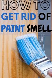 The insides of our cupboards were painted. How To Get Rid Of Paint Smell Happy Diy Home