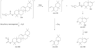 Image result for Trilepisium madagascariense
