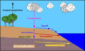 8 M Throughflow And Groundwater Storage Water Cycle In 2020 Groundwater Soil Layers Physical Geography