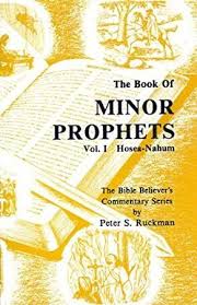Edwards offers an engaging and probing introduction to the entire book of 1 peter, guiding viewers in creatively and. Free Minor Prophets Vol 1 Hosea Joel Amos Obadiah Johah Micah Nahum Commentary The Bible Books Of The Bible Book Addict Ebook