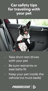 501,446 likes · 6,610 talking about this · 342 were here. Car Safety Tips Traveling With Your Pet Car Safety Tips Safety Tips Car Safety