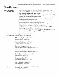 Real Estate Broker Resume Inspirational Real Estate Agent Job ...