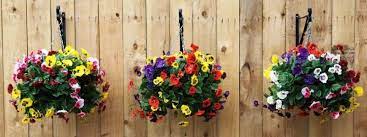 $10 off with code gift10 Top 10 Flowering Plants For Hanging Baskets Greenmylife