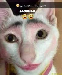 صور عن الشباب في رمضان. ØµÙˆØ± Ù…Ø¶Ø­ÙƒÙ‡ ÙƒØ«ÙŠØ± ÙƒÙˆÙ†ØªÙ†Øª