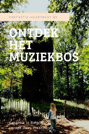 Pin Op Belgie Roadtrip