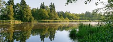 Pre Plan Online Miller Funeral Home And Crematory Inc Woodbridge Va