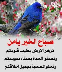 pin by ben on صباح الخير in 2021 good morning beautiful good morning beautiful images beautiful images