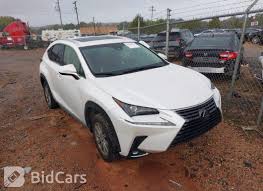 Image result for Eminent White 2019 NX