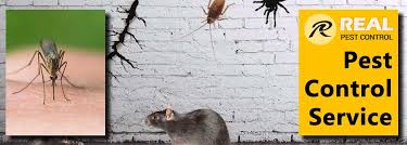 Ants pest control perth have years of experience in how to get rid of ants from kitchen, bathroom , paving, yard of your home & business. Pest Control Perth 0488 854 172 End Of Lease Pest Control