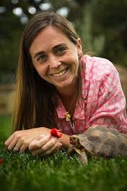 Amazon.com: Search for the Silver Shell: A Branches Book (Coral Keepers  #1): 9781546122425: Yardi, Robin, Kellam, Paul: Books