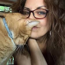 What is the best cordless stick vacuum?