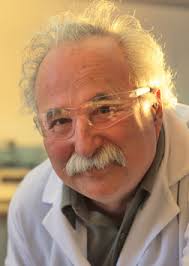 Enzyme‐Based Logic Gates and Networks with Output Signals Analyzed by  Various Methods