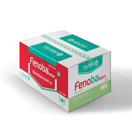 Fenoba 268WP
