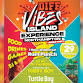 Diff Vibes Island Experience - Northampton (Turtle - Turtle Bay Northampton, 2-6 Gold St Event Image
