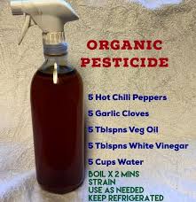 5 Ways To Healthy Living At Home Organic Gardening Tips Strawberry Plants Organic Gardening