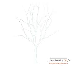 Aug 24, 2012 · be sure to put shadow at that base and draw the grass 'around' the trunk. How To Draw A Tree Step By Step Tutorial Easydrawingtips