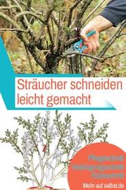 Meist wird die winterliche ruheperiode bzw. Die 44 Besten Bilder Von Schneiden Von Baumen Und Strauchern Garten Pflanzen Garten Und Pflanzen