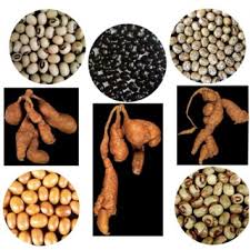 Image result for Sphenostylis briartii