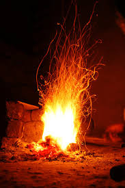 Burning Firewood Firewood Education And Outreach