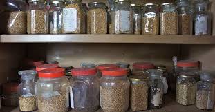 Do these banks reject certain seeds? Why Every Family Should Have A Survival Seed Bank Gardening Is A Booming Industry And I Think People Are Seeing The Ben Survival Seeds Seed Bank Seed Storage
