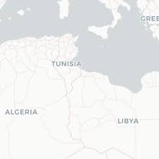 Image result for Plumbago ituriensis