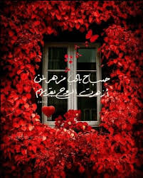 Pin By Afaf Alakresh On إطار In 2020 Good Morning Flowers Good Morning Images Good Morning Greetings