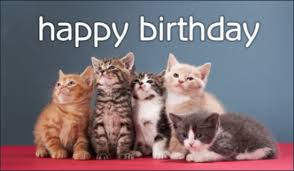 If your kitten is sick take the kitten to a vet. Free Birthday Kittens Ecard Email Free Personalized Birthday Cards Online