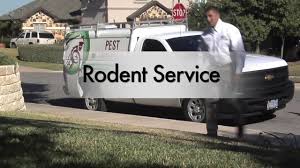 For the best exterminators in san antonio, choose bob jenkins pest & lawn services. Rodent Wildlife Control San Antonio Tx Abc Home Commercial Services