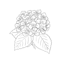 Simple Hydrangea Print For Simple And Easy Wall Art Etsy Simple Hydrangeas Hydrangea Print Hydrangea Tattoo