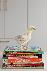 Thinking about raising backyard chickens for eggs? Best 8 Books On Raising Backyard Chickens Open Book Reviews Tidbits
