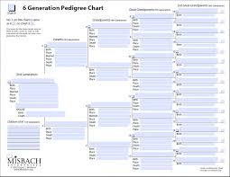 Free Family Tree Templates Free Family Tree Template