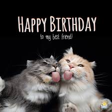 A friend is one of the nicest things you can have, and one of the best things you can be. Happy Birthday Best Friend 80 Friends For Life Wishes