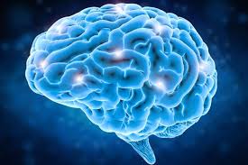 Once the bachelor's degree program has been completed, students should prepare for a master's degree program, which is an additional two years. Biopsychology 2018 Posts Facebook