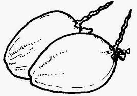Gambar mewarnai buah apel cocok untuk tk dan paud. 88 Gambar Buah Buahan Warna Hitam Putih Paling Hist Gambar Pixabay