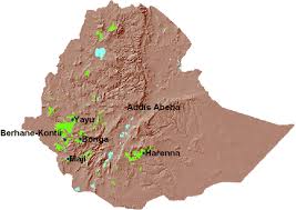 Image result for Adenia rumicifolia