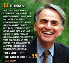 Be Careful; Your Character Is Showing by Christina Knowles