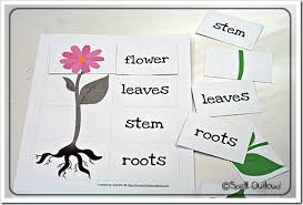Plant Vocabulary Labeling To Go With Book Jack S Garden Gardening Preschool Fun Plant Science Parts Of A Plant Vocabulary