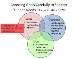 Developing Communicative Competence And Literacy For