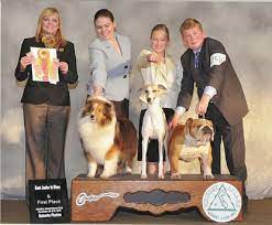 Jr. Showmanship - Around The Ring Conformation Handling Classes