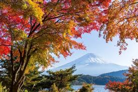 Mount Fuji Highlights And Surroundings You Should Visit Akisoto