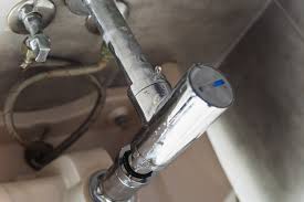 Mold is quite easily satisfied when it comes to conditions for growth. How Long Does It Take Black Mold To Grow Mold Remediation