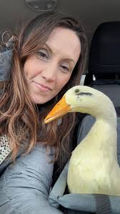 I will always love my ducks @everyone 💚