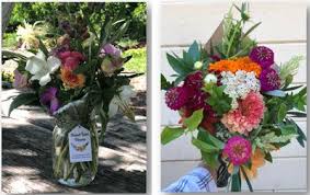 Maybe you would like to learn more about one of these? Buy From Our Farm Stand Agricultural Sustainability Institute