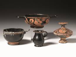 Image result for Dignathia