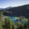 Der baumwipfelpfad in laax wird voraussichtlich mitte juli 2021 eröffnet. 1